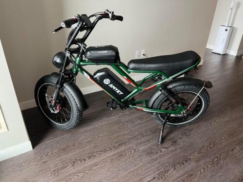 AMYET S8 Electric Bike 2000W Dual Motor 25AH photo review