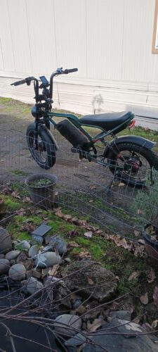 AMYET S8 Electric Bike 2000W Dual Motor 25AH photo review