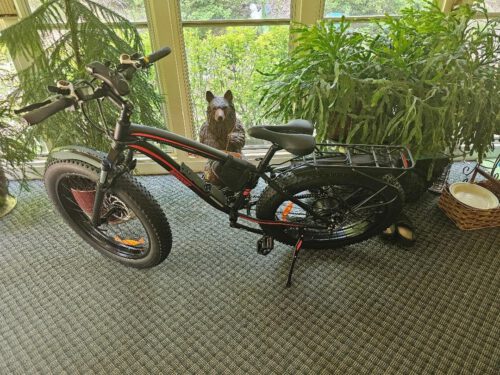 AMYET EB26 Electric Bike 26" 1000W photo review